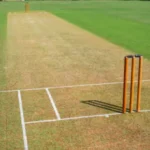 International Pitch Length