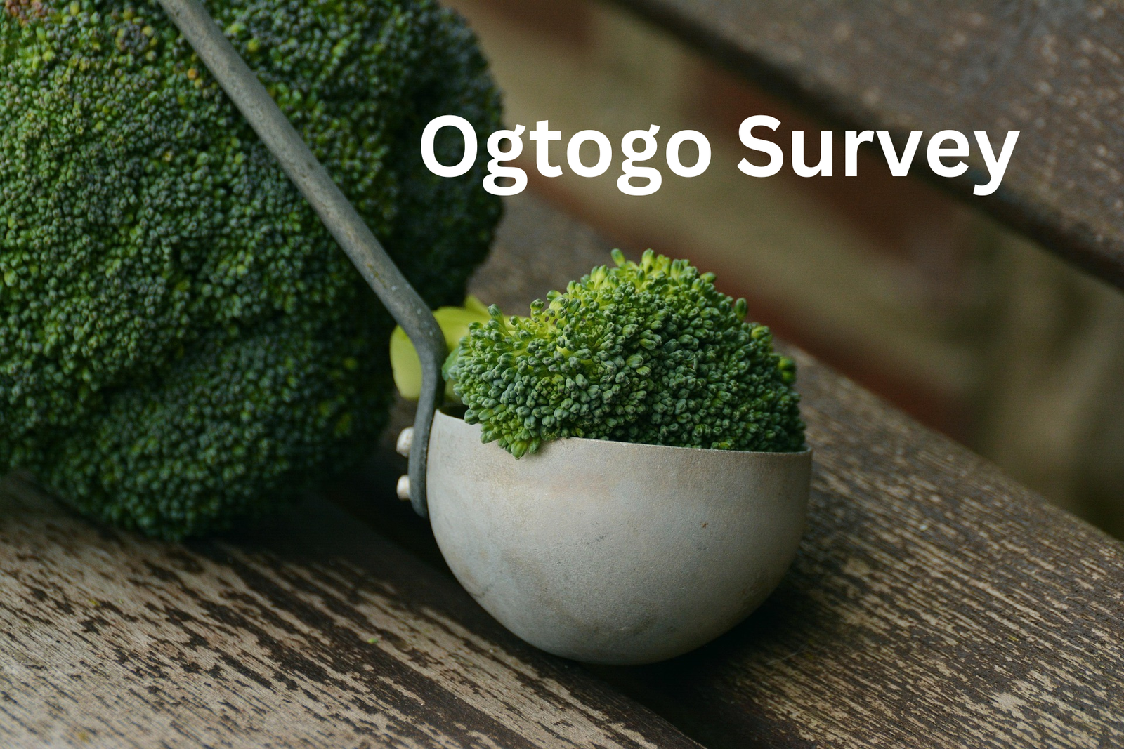 OgtogoSurvey.com