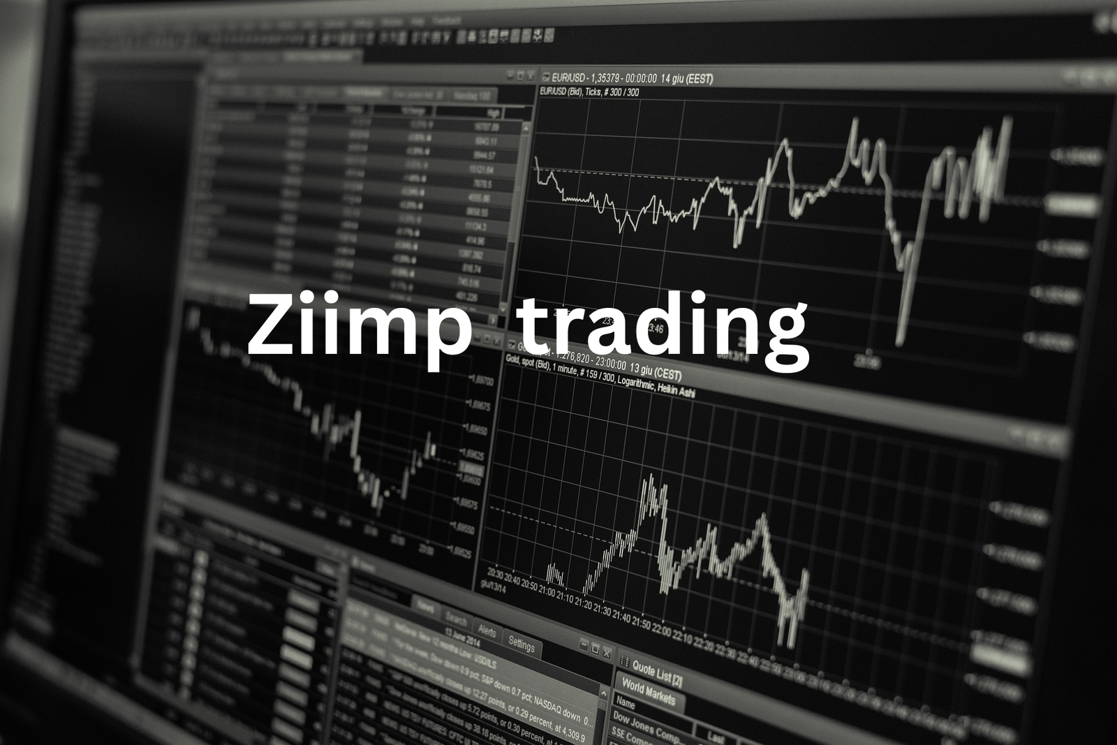 Ziimp. com trading