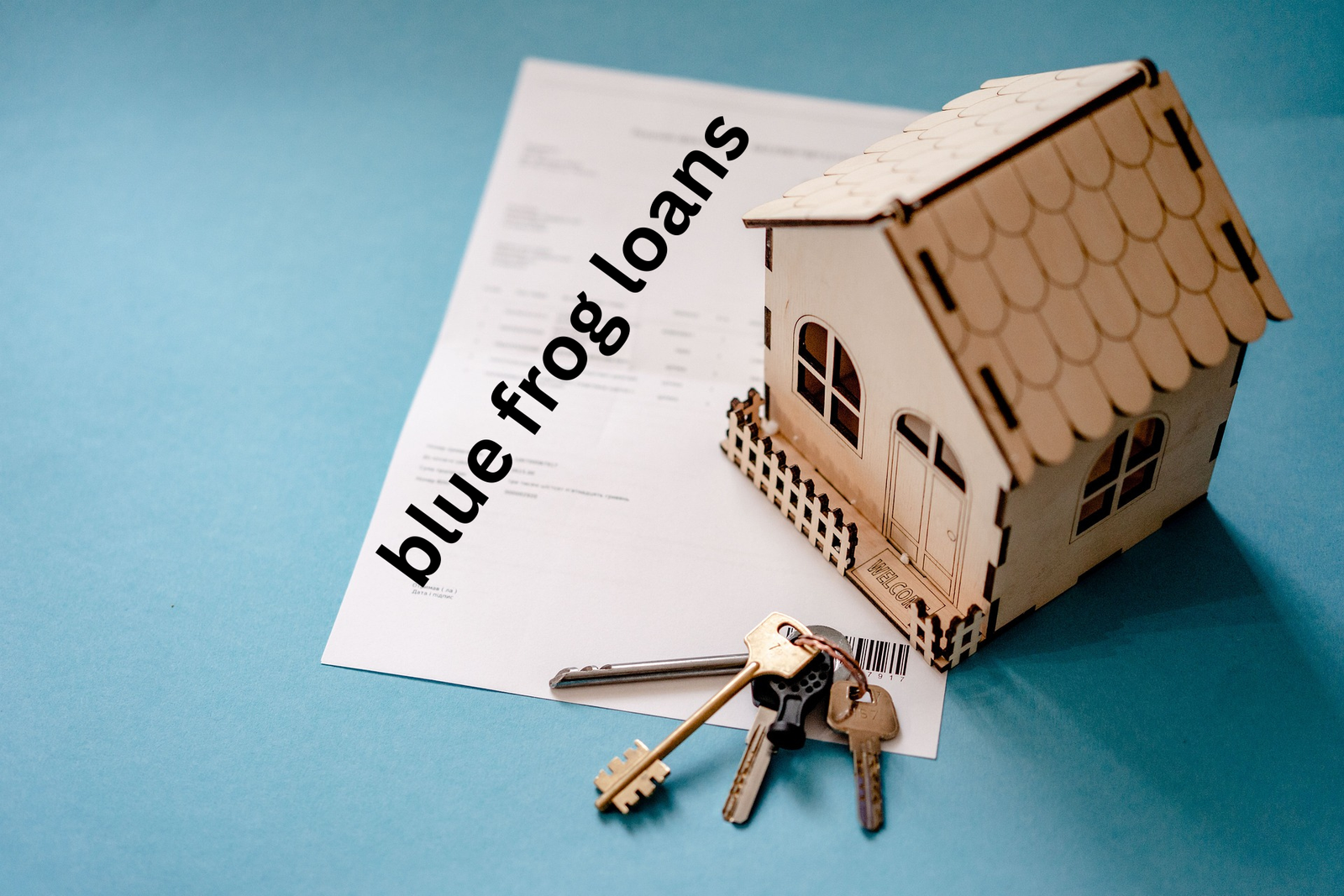 Blue Frog Loans Login