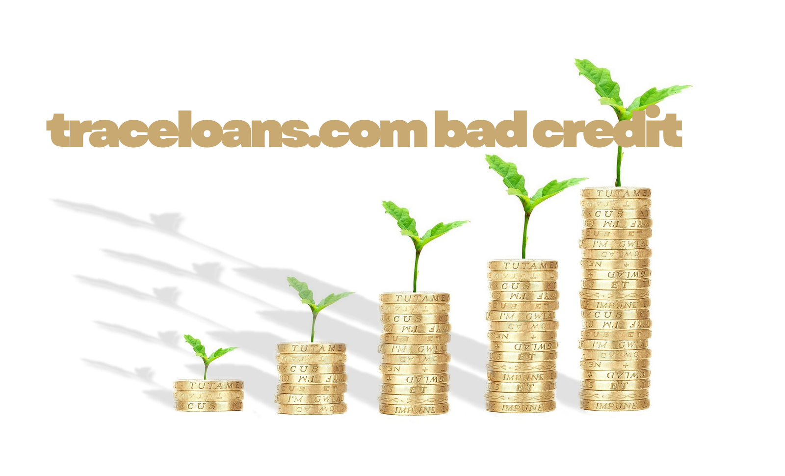 Traceloans.com bad credit