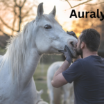 Auralyn Dashwing MLP