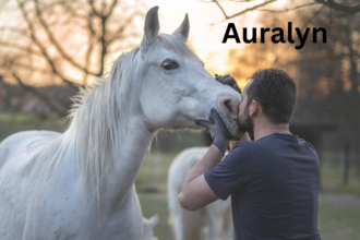 Auralyn Dashwing MLP