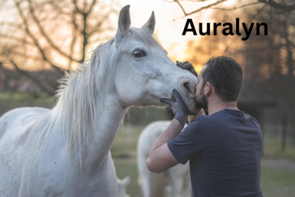 Auralyn Dashwing MLP