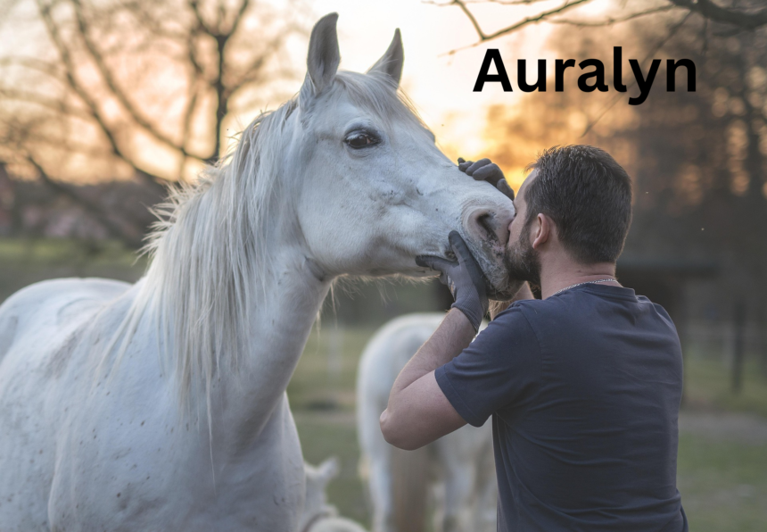 Auralyn Dashwing MLP