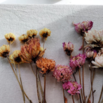 Dried Flower